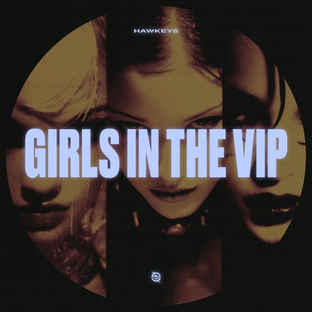 Girls In The VIP cover art